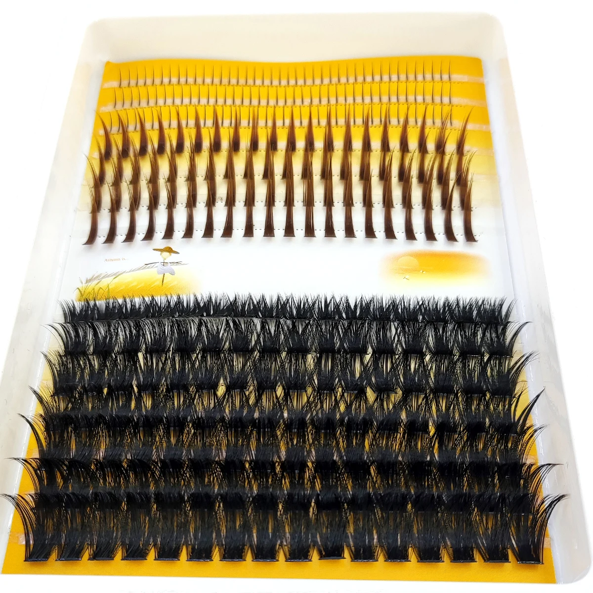 Eyelash Extension Doll Eye - رموش صناعية ثلاثية الأبعاد AMSDCN 60D-120D،