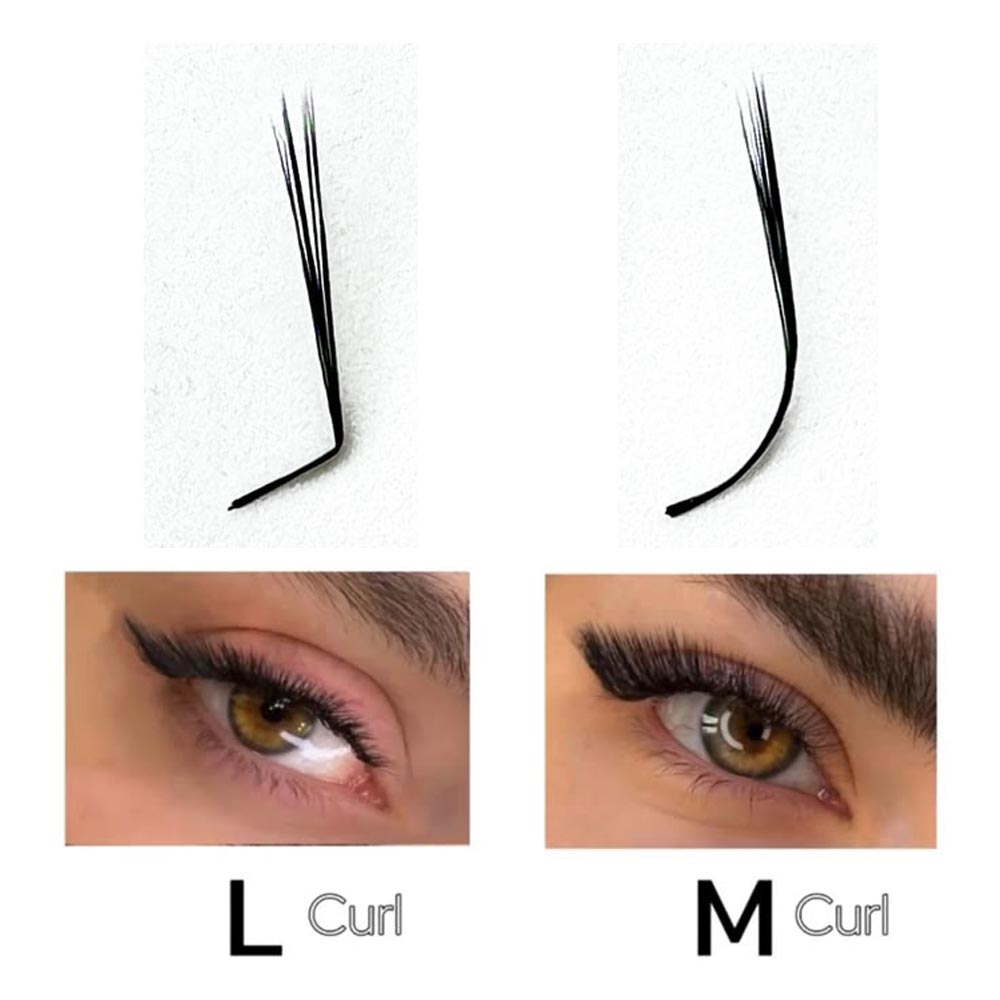 رموش صناعية متنوعة 6D 10D L M  - مراجعة Lash Fan Volume وسعره