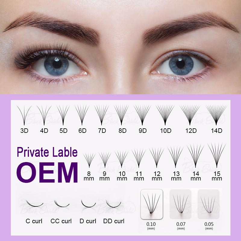 500 المشجعين Promade حجم 3D-14 - مراجعة Lash Fan Volume وسعره